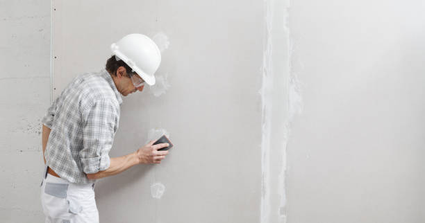 Best Residential Mold Inspection & Testing  in Silver Lake, KS