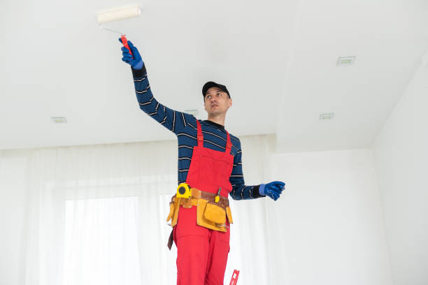 Trusted Silver Lake, KS Mold Removal Experts