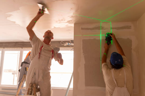 Best Commercial Mold Inspection  in Silver Lake, KS