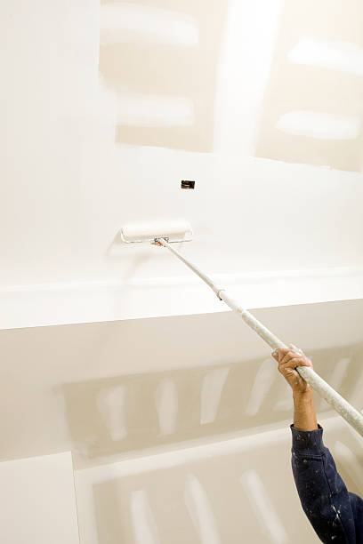 Best Environmental Consulting for Mold Prevention  in Silver Lake, KS