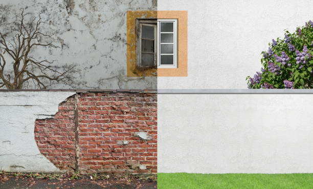Best Mold Documentation for Insurance Claims  in Silver Lake, KS