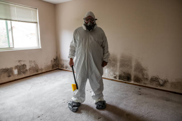 Mold Remediation for Vacation Homes in Silver Lake, KS